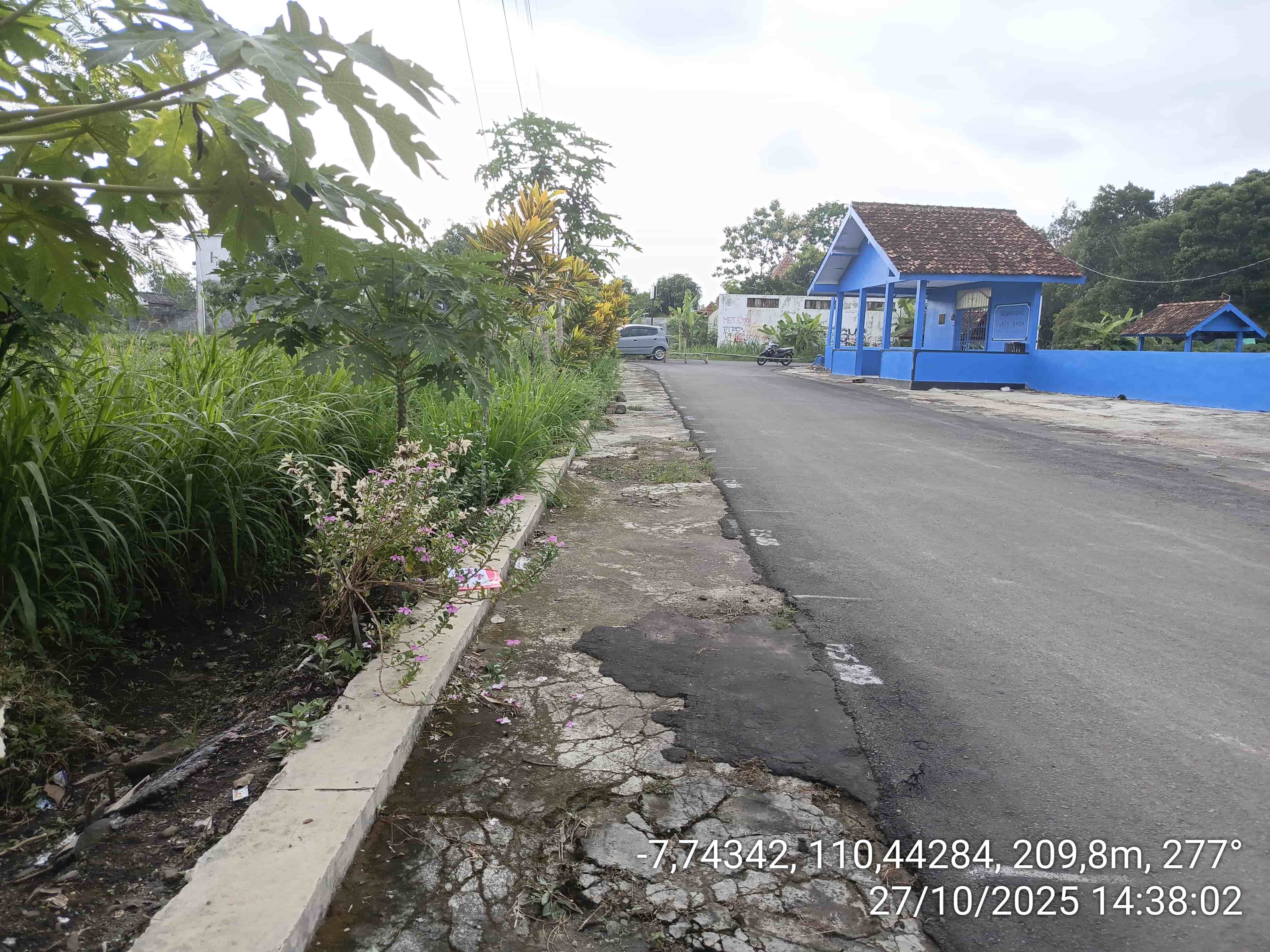 Foto NP.WD.10